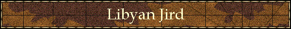 Libyan Jird