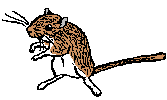 agouti.gif (1553 bytes)