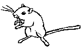 BEW.gif (1229 bytes)