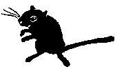 black.gif (633 bytes)