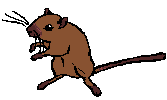 burma.gif (1032 bytes)