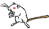 dtw.gif (1636 bytes)