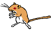 gold.gif (1010 bytes)