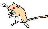 goldhell.gif (1002 bytes)