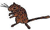 nutmeg.gif (1229 bytes)