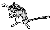 silbag.gif (1200 bytes)