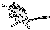 silnut.gif (2102 bytes)
