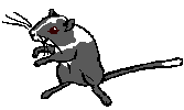 slatepied.gif (1032 bytes)