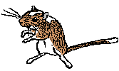spot.gif (1191 bytes)