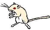 wbcream.gif (1002 bytes)